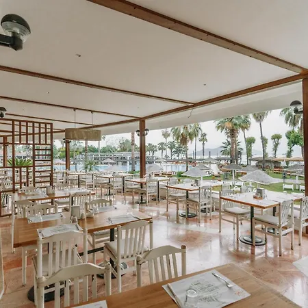 كلوب توانا - شامل كليًا