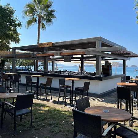 كلوب توانا - شامل كليًا فتحية