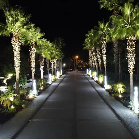 كلوب توانا - شامل كليًا