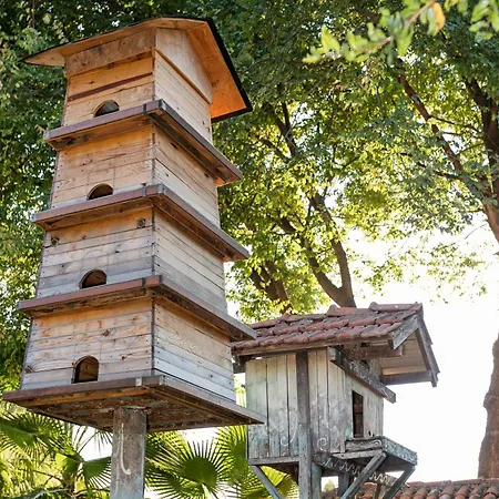 كلوب توانا - شامل كليًا منتجع فتحية