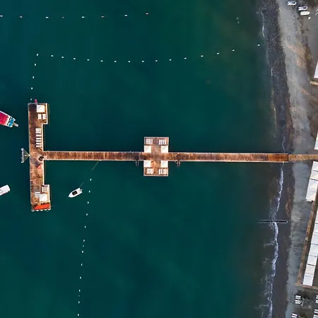 كلوب توانا - شامل كليًا 5*